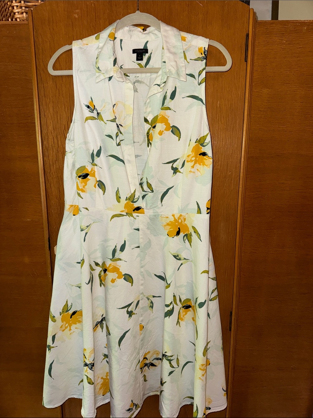 Sleeveless Floral Fit & Flare Dress in White and Yellow
